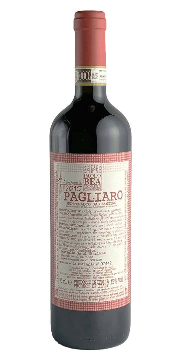 Produktbild för Pagliaro 2015