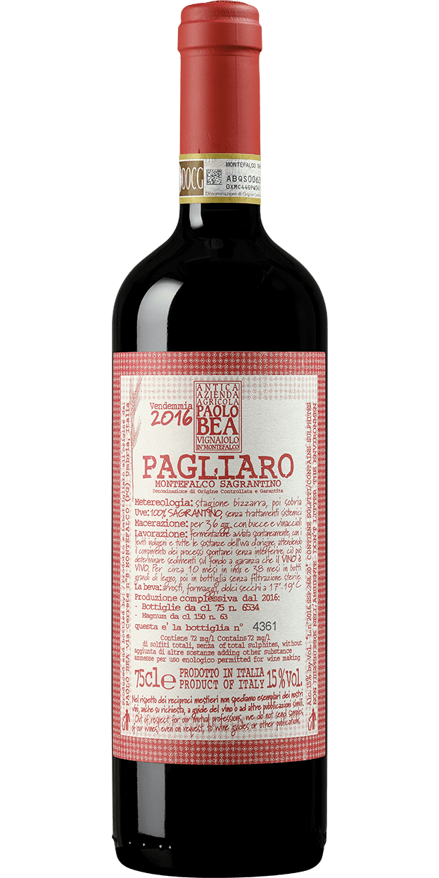 Produktbild för Pagliaro 2016